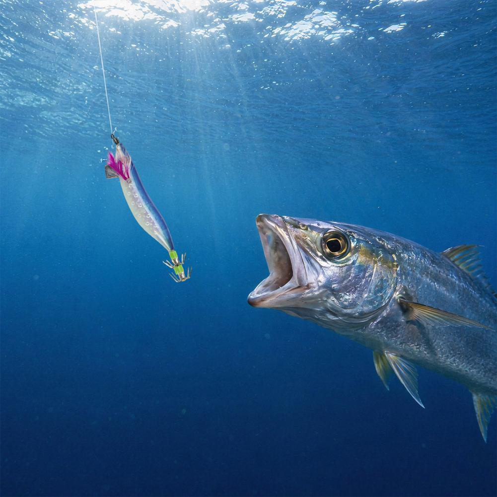 Tintenfisch-Angelköder 5-teili – Fishing Lure Jig Bewertung und Preis